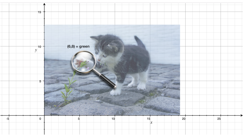 A picture of a kitten overlaid on graph paper with a magnifying glass focusing on a leaf.